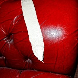 Genuine cobra snakeskin belt